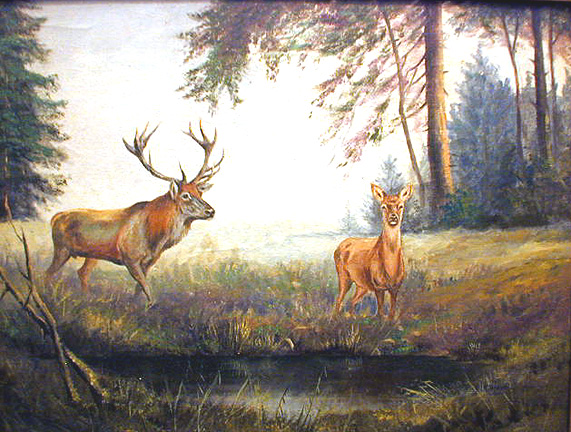 2 deer